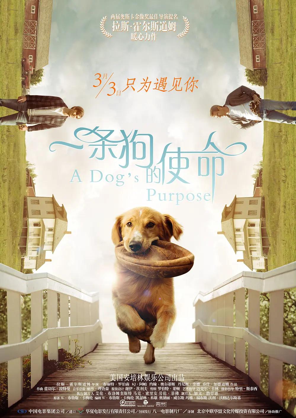 山房春事港剧在线免费观看(♊)海报