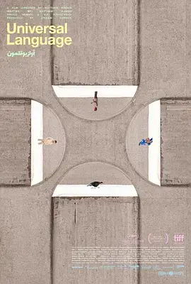 《共同的语言》全集高清完整版在线观看与剧情解析