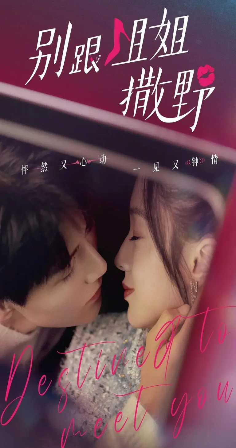 《别跟姐姐撒野》全集高清完整版在线观看与剧情解析