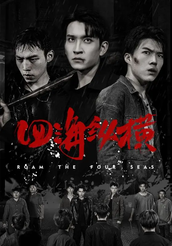 《四海纵横》全集高清完整版在线观看与剧情解析