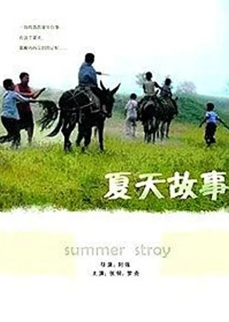 《夏天的故事2006》全集高清完整版在线观看与剧情解析