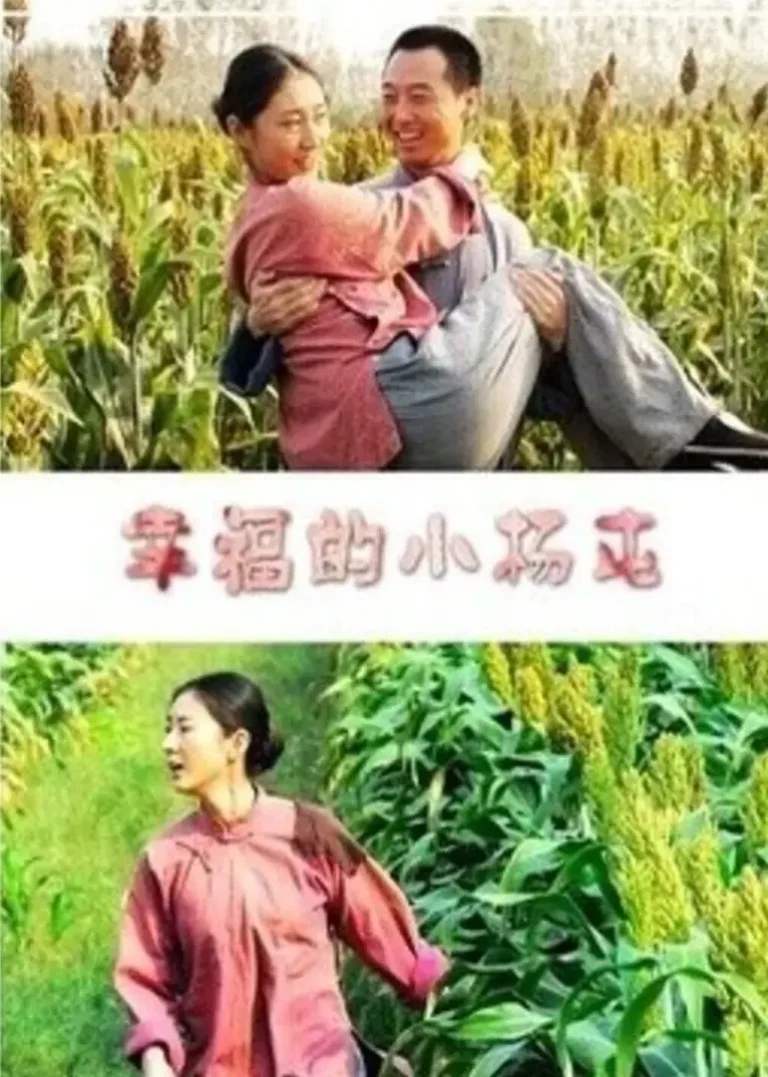 《幸福的小杨屯》全集高清完整版在线观看与剧情解析