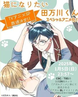 《想变成猫的田万川君[电影解说]》全集高清完整版在线观看与剧情解析