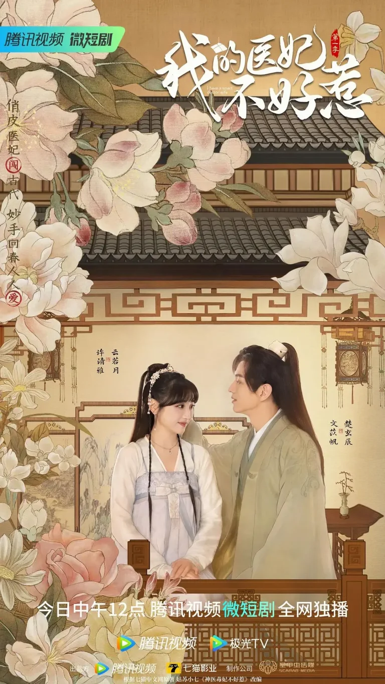 《我的医妃不好惹》全集高清完整版在线观看与剧情解析