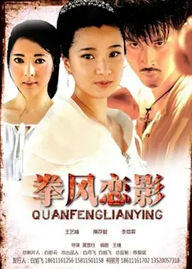 《拳风恋影》全集高清完整版在线观看与剧情解析