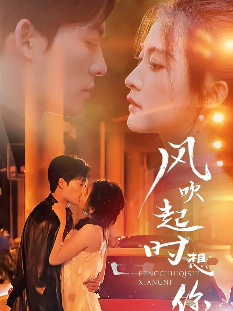 《风吹起时想你》全集高清完整版在线观看与剧情解析