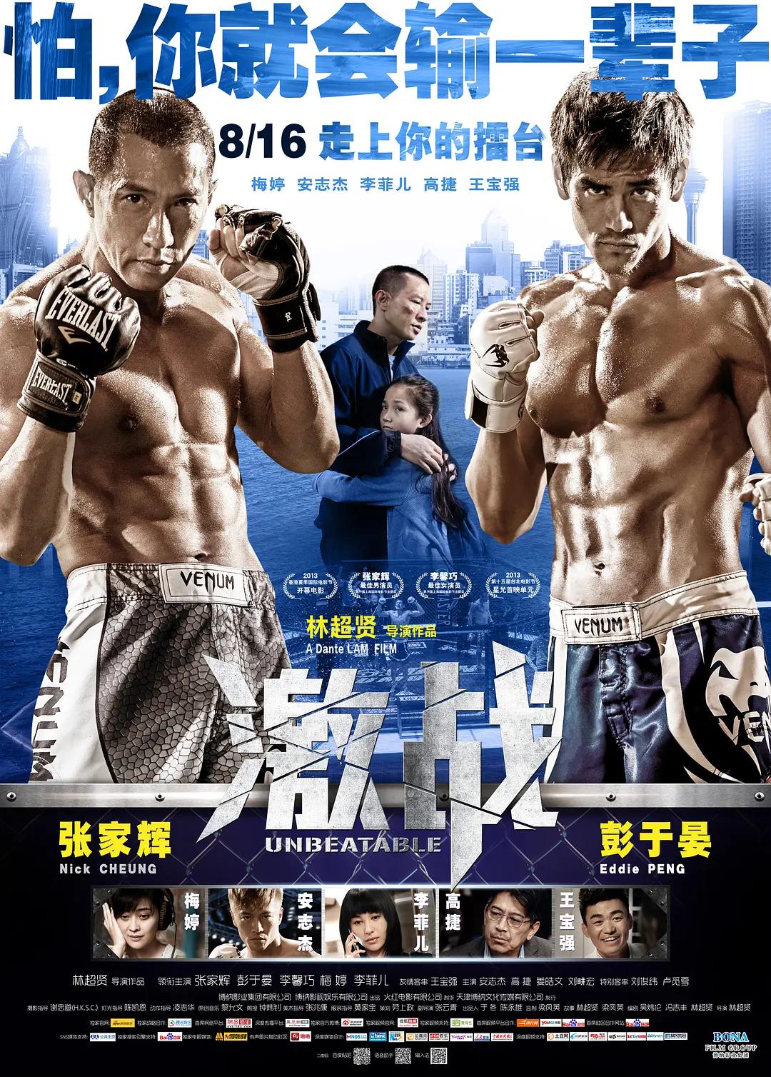 激战2013海报