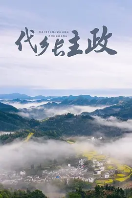 代乡长主政海报