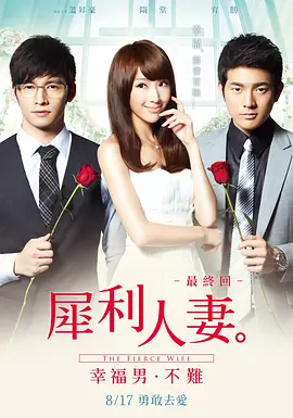 犀利人妻2012海报