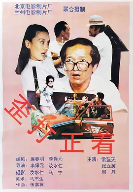 歪打正着1993海报