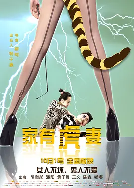 家有虎妻2015海报