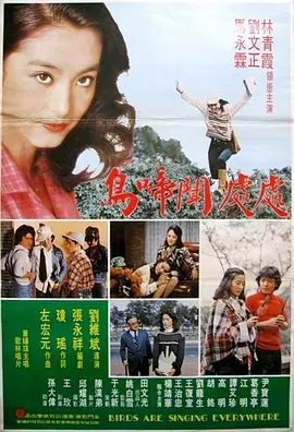 处处闻啼鸟海报