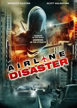 空难2010海报