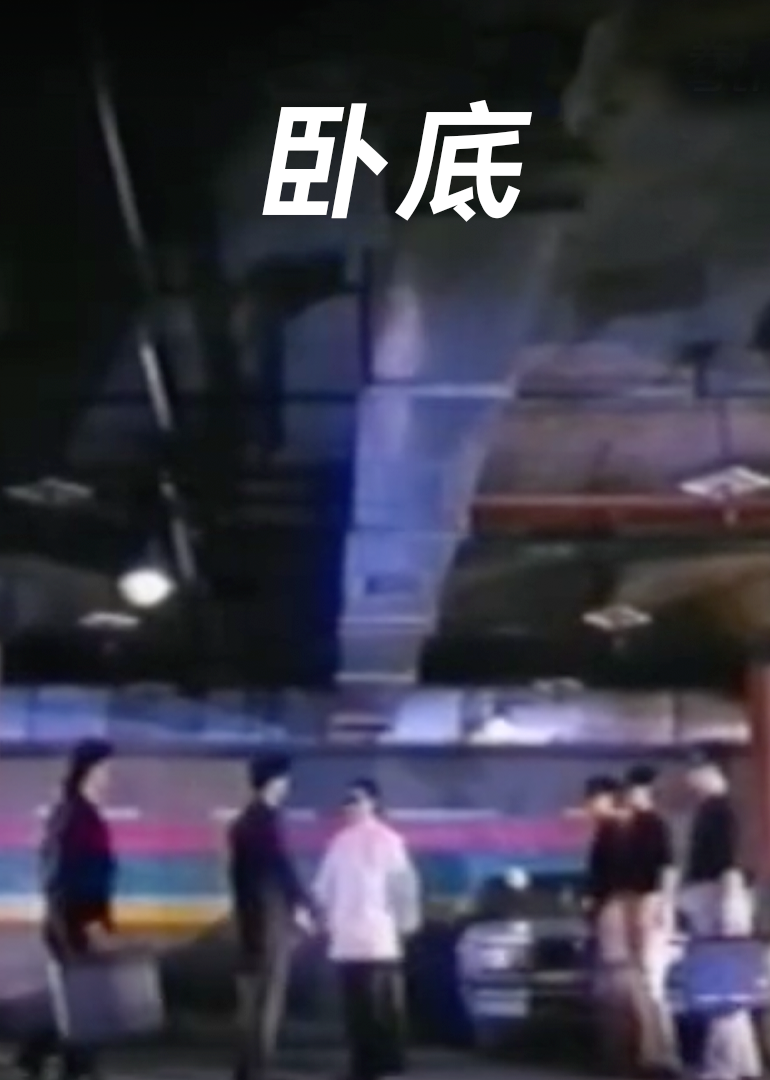 卧底1991海报