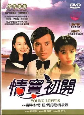 情窦初开1978海报