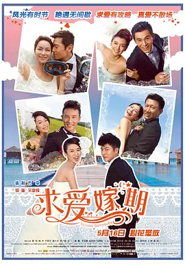 求爱嫁期海报