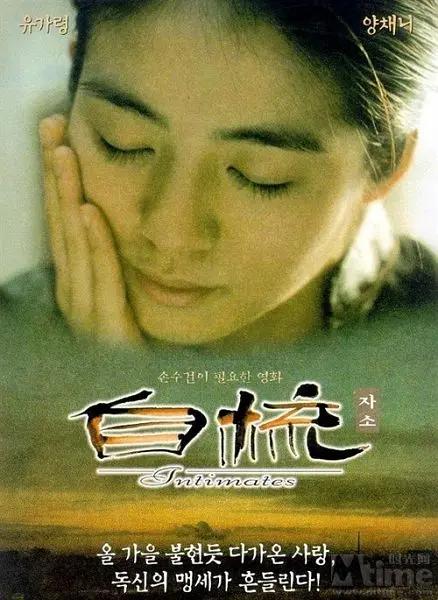 自梳1997海报