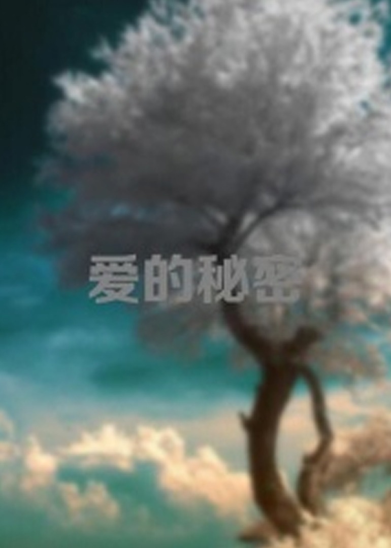 爱的秘密2012海报