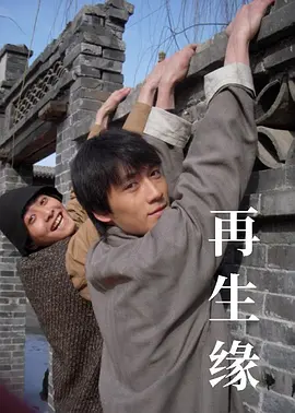 再生缘2009海报