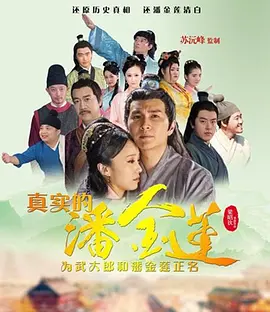 大明奇冤海报
