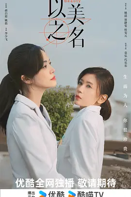 以美之名海报
