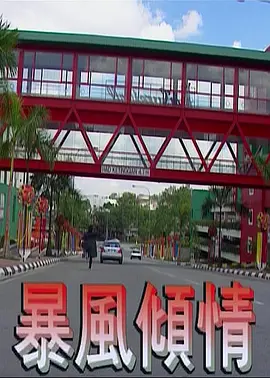 暴风倾情海报