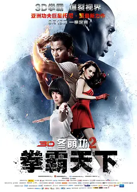 冬荫功2：拳霸天下[电影解说]海报