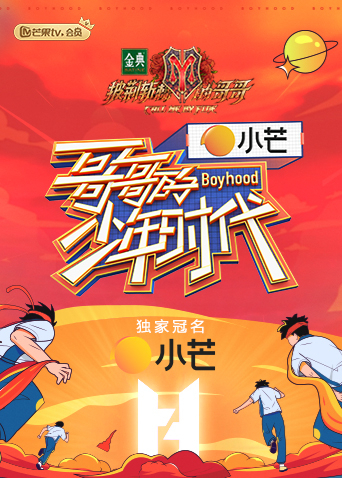 哥哥的少年时代海报