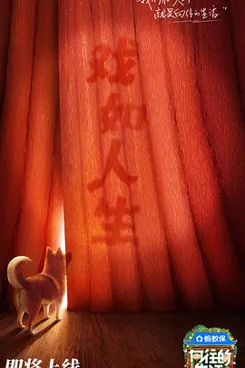 向往的生活第八季海报