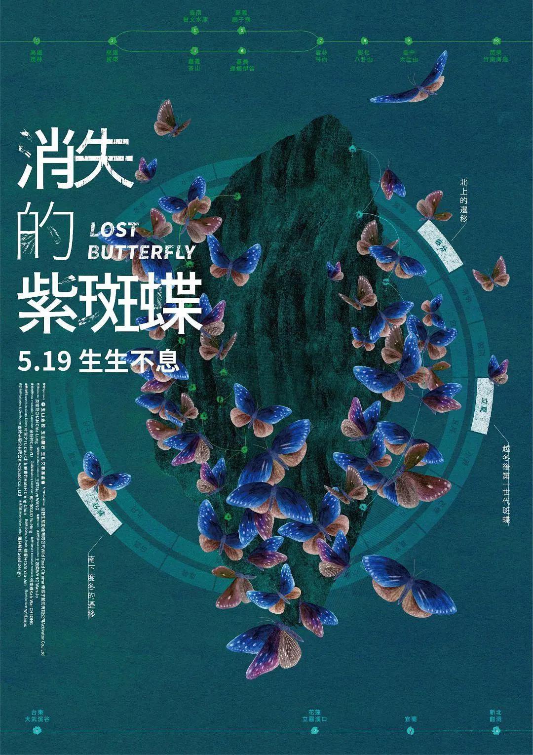 消失的紫斑蝶海报