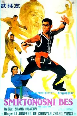 武林志[电影解说]海报