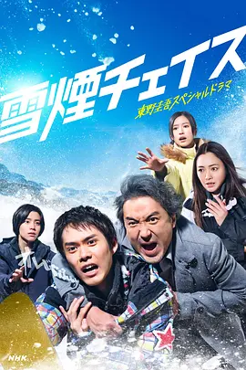 雪湮追逐海报
