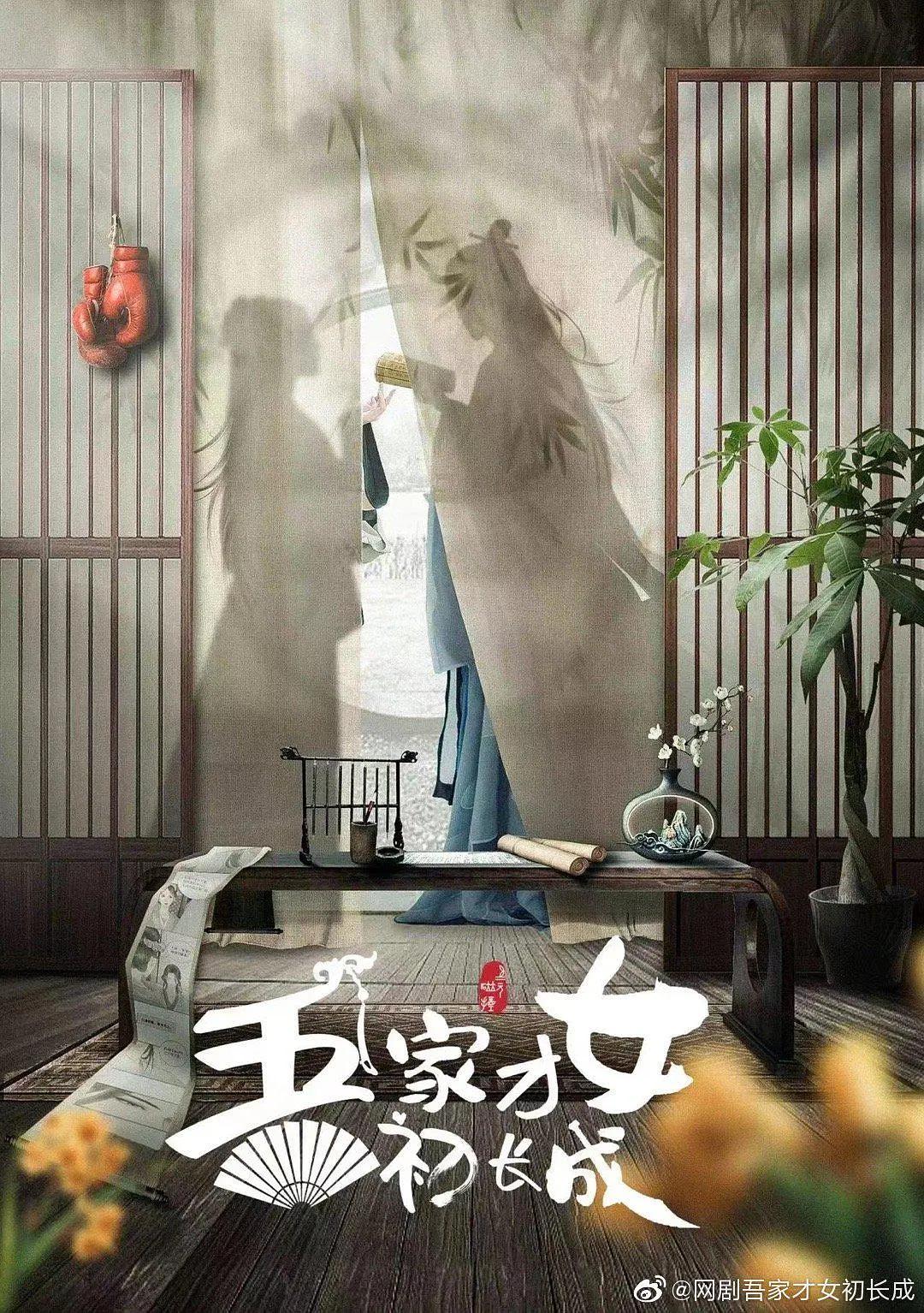 吾家才女初长成海报