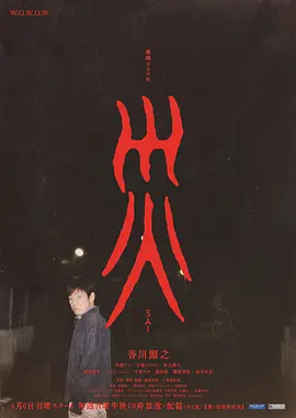 灾2025海报
