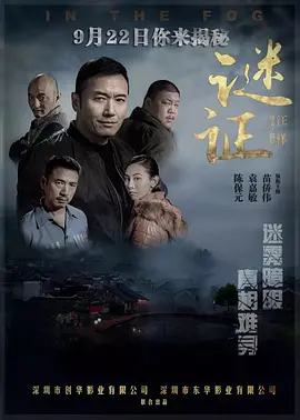 谜证2017海报