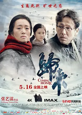 归来2014[电影解说]海报