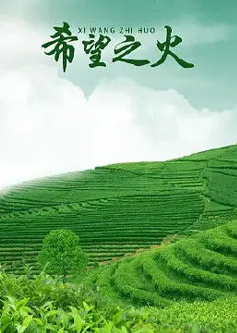 希望之火海报