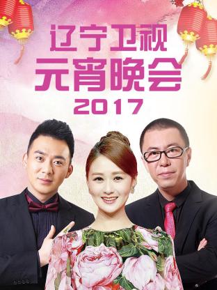 辽宁卫视元宵晚会2017海报