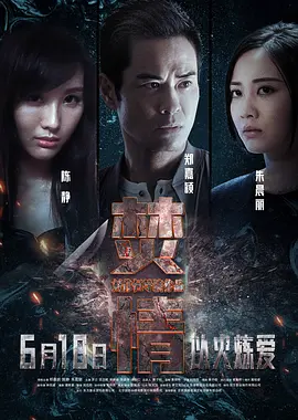 焚情[电影解说]海报