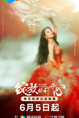 绽放的许开心海报