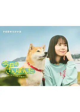 今日份的散步海报