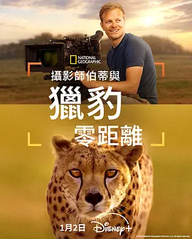 摄影师贝尔蒂与猎豹零距离海报