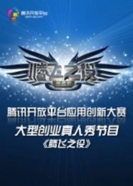 腾飞之役海报