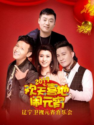 辽宁卫视元宵喜乐会2019海报
