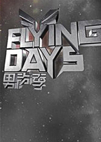 Flying Days2010海报