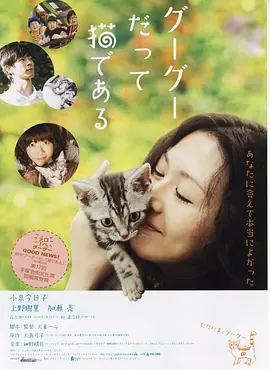 咕咕是一只猫海报
