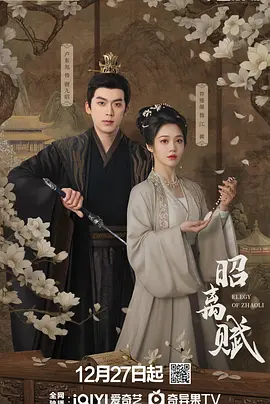 昭离赋海报