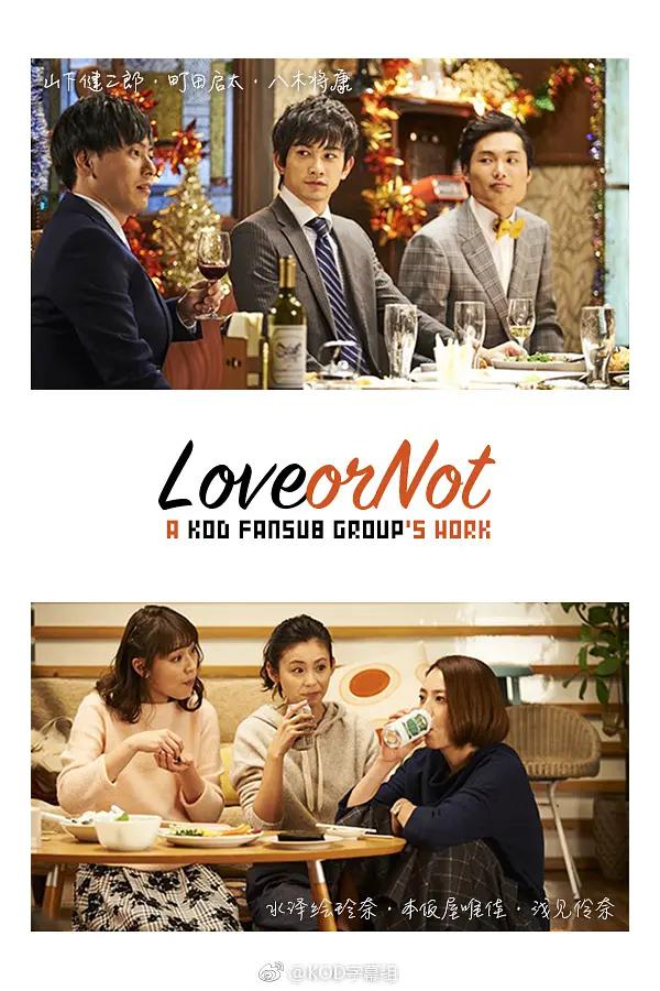 Love or Not海报