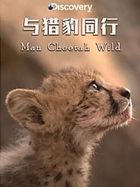 与猎豹同行海报