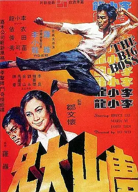 唐山大兄[电影解说]海报